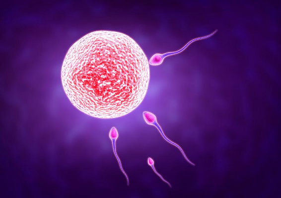 女人一个月排几次卵子？排卵时，身体可能会有这3种“感觉”！