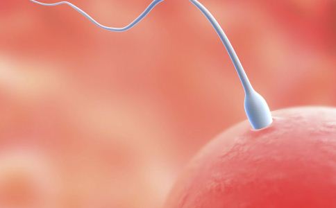 女人吃精子的好处有哪些 女人吃精子需要注意什么