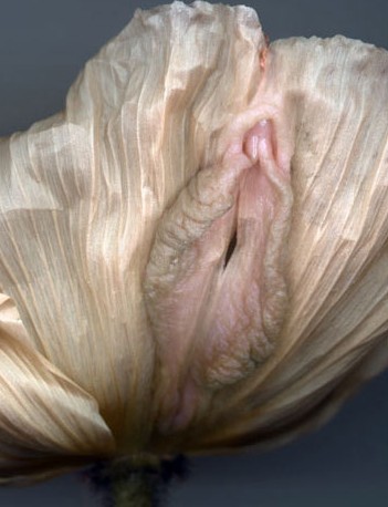 女性阴部真实照片：详解女人真实完美阴道图片【多图】