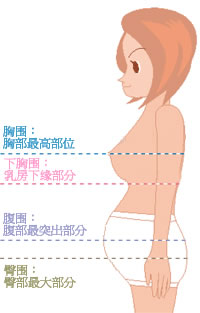 女性胸围尺寸：女性标准三围尺寸对照表（最全胸围对照)