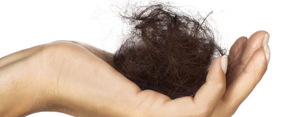 女白领发量剩3成 吃什么食物可以预防脱发