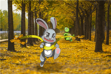 胎教故事280个必读：龟与兔的第二次赛跑