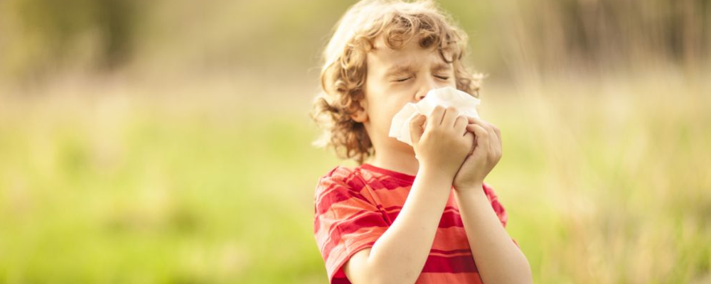 如何区别过敏性鼻炎和感冒 过敏性鼻炎该怎么治疗
