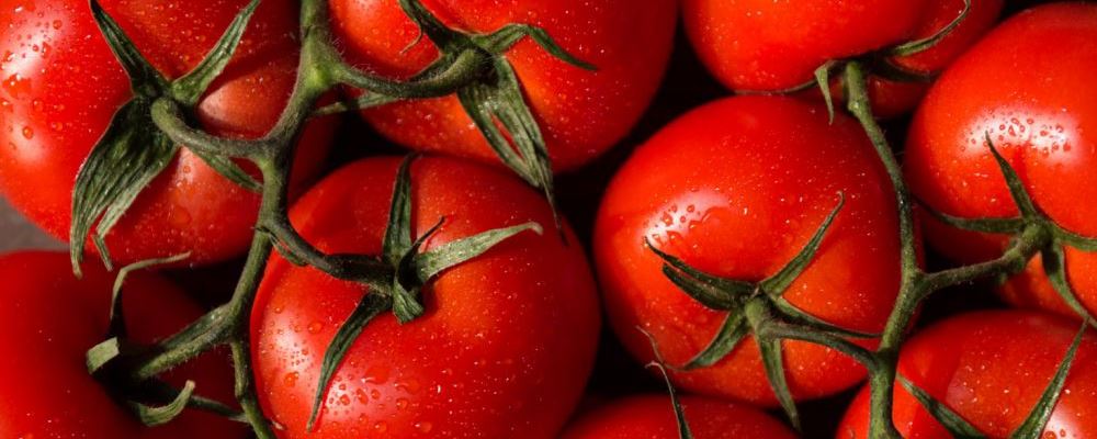 西红柿好吃又健康 搭配它们吃营养翻倍