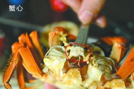 螃蟹哪里不能吃高清图 一分钟看懂如何正确吃螃蟹