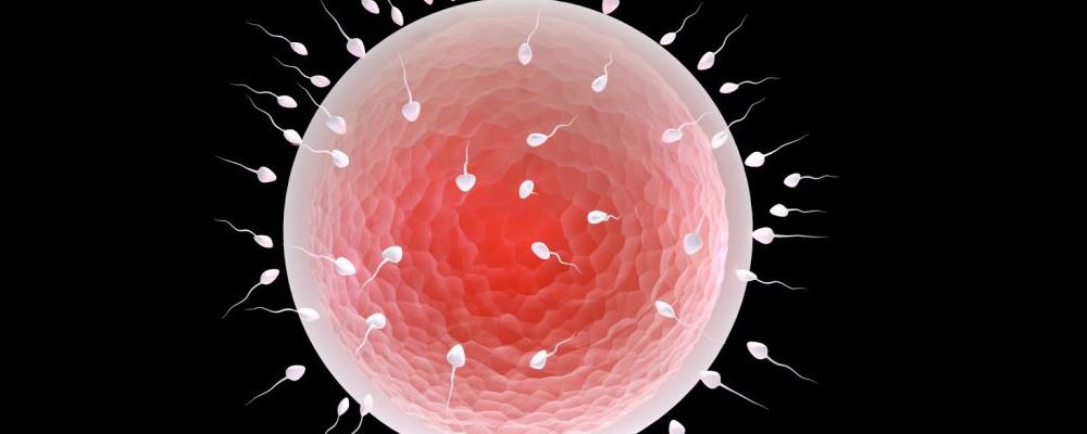 多次捐卵生命垂危 卵巢过度刺激综合征