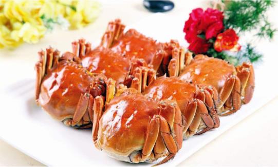 日本螃蟹500万破吉尼斯纪录 螃蟹怎么做最好吃