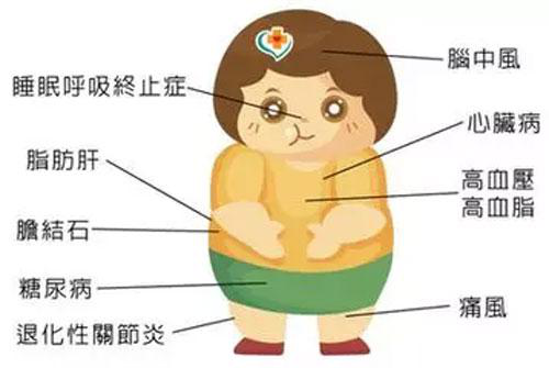 2030年中国肥胖儿童将增至664万：控制体重关键在营养均衡