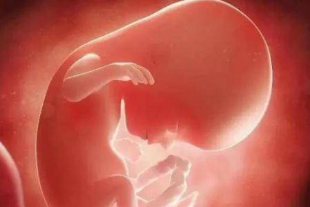 导致胎儿畸形的原因有哪些,哪几周是胎儿异常高发期