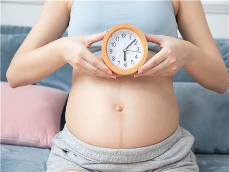 怀孕第4个月要补充什么营养