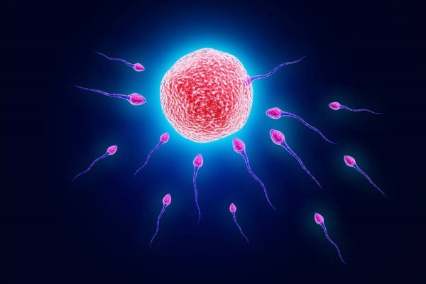 精卵结合8个症状 这些症状暗示你已经成功受孕了