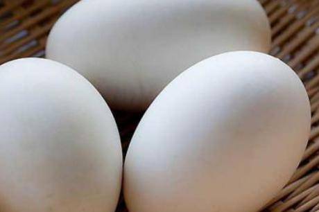 孕妇吃鹅蛋的四个好处 鹅蛋最佳吃法注意事项