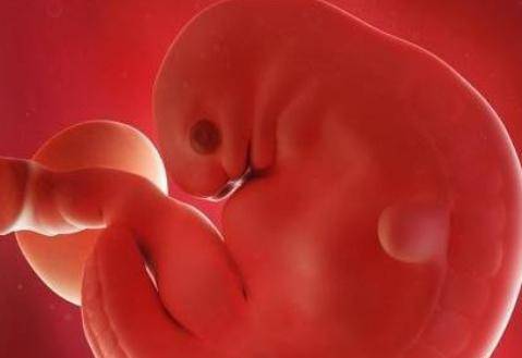 孕囊大小是什么样子的 怀孕40天孕囊有多大?
