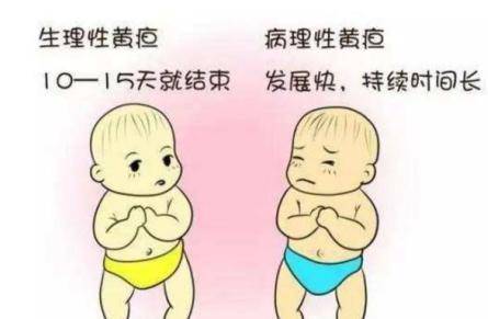 如何区分宝宝的黄疸是生理性还是病理性 新生儿黄疸怎么办?