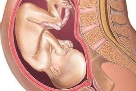 孕妇顺产过程中,宝宝是自己的爬出来的还是母体挤出来的?