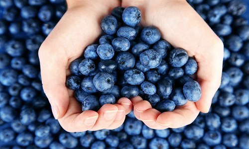 蓝莓的功效与作用,吃蓝莓有禁忌这些人要注意