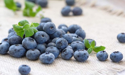 蓝莓的功效与作用不仅仅是护眼,别嫌它贵真的物有所值！