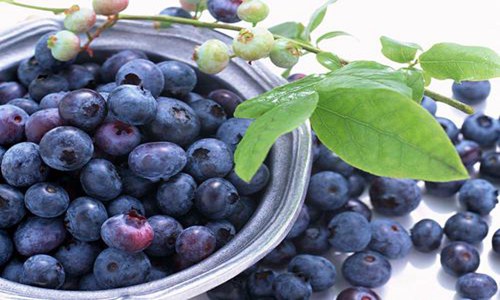 蓝莓的功效与作用不仅仅是护眼,别嫌它贵真的物有所值！