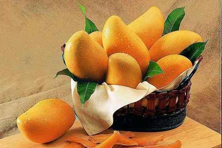芒果的功效与作用禁忌,食用芒果美容小心上火
