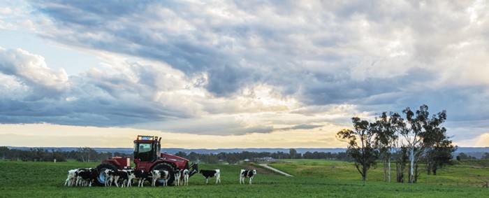 纯牛奶如何为千家万户带来新鲜品质 澳牧有的答案在这里