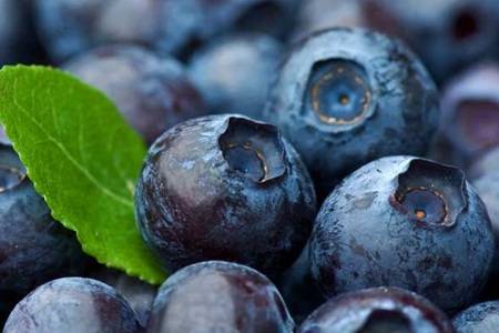 蓝莓的功效与作用 蓝莓的健康吃法了解一下