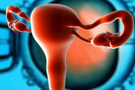 两个延缓女人卵巢早衰的方法