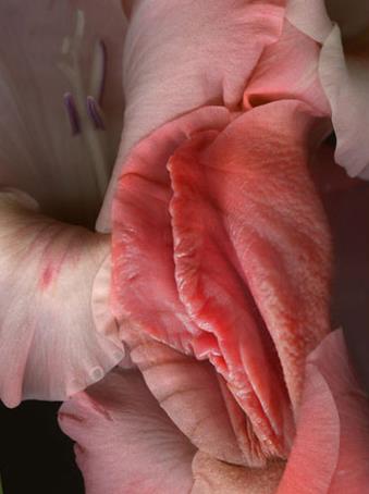 女人二十种外阴照片：女人外阴的形状照片与生理知识