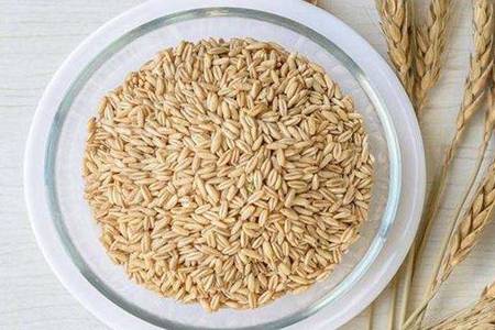 糙米的功效和作用 糙米能减肥吗