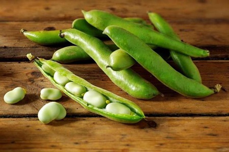 蚕豆的功效与作用,这五个女人吃蚕豆的营养价值