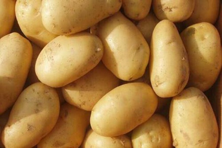 土豆的功效与作用,这五个女人吃土豆的营养与功效