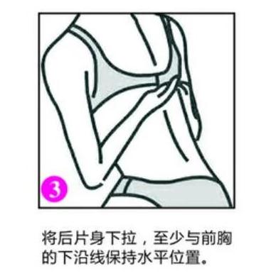 求解文胸的正确穿法 穿内衣的正确方法