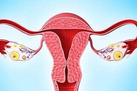 卵巢保养需会的三个小技巧