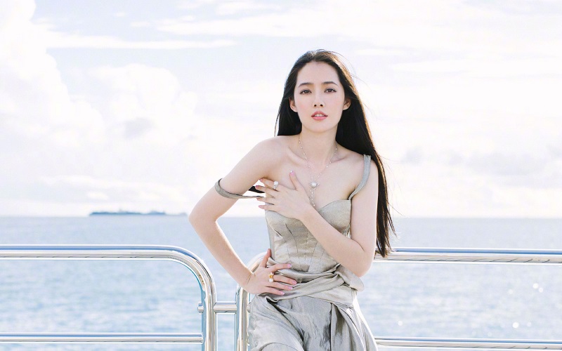 在2012年的时候，郭碧婷参演郭敬明执导的电影《小时代》，在里面饰演南湘这个角色，给大家留下了深刻的印象，随后参与了《小时代2：青木时代》、《小时代3：刺金时代》、《小时代4：灵魂尽头》等等一系列的电影。