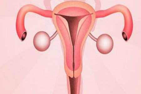 细说女人输卵管为什么会发炎