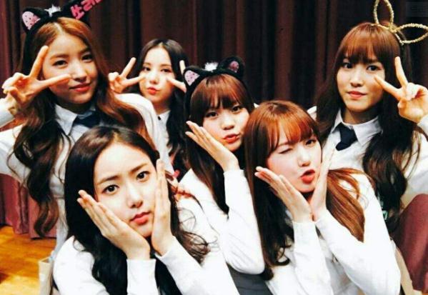 3、韩国女团《GFRIEND》（2015年1月） 女团《GFRIEND》是SourceMusic推出的韩国女子演唱组合 女团《GFRIEND》成员名单：金韶情、郑艺琳、丁恩妃、崔俞娜、黄恩妃、金艺源六名成员组成。