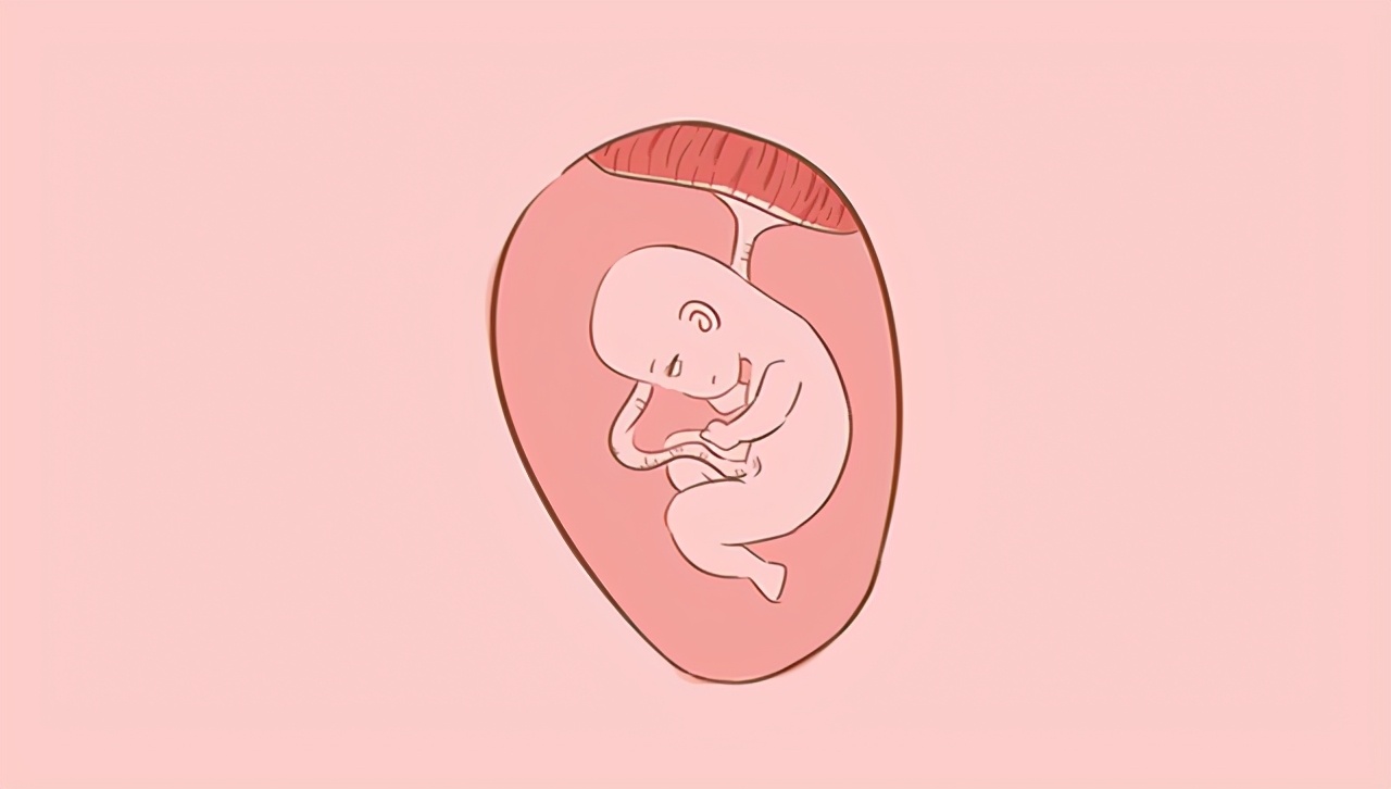 孕期同没同房,对胎儿来说还是有很大差别的,别不好意思看