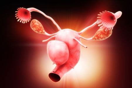 女人预防卵巢癌的三大方法