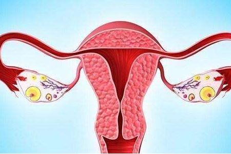 女人卵巢早衰的两个保养方法