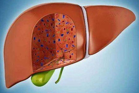 肝脏不好有什么表现症状有哪些？这五个肝脏不好的症状表现