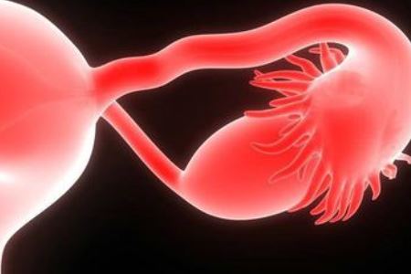 卵巢偏大会有什么影响