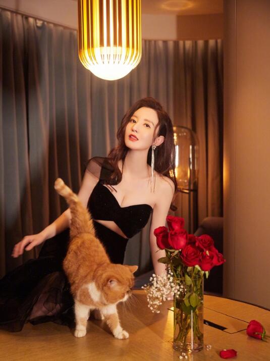 张萌与猫咪合照。