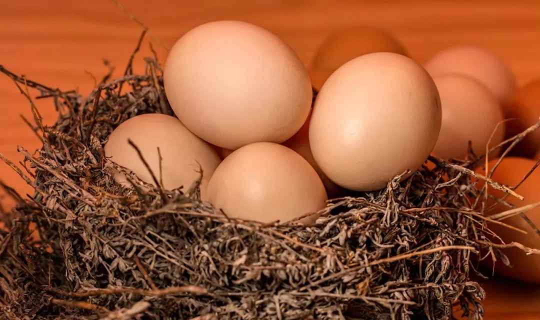 孕期吃鹅蛋有什么好处？