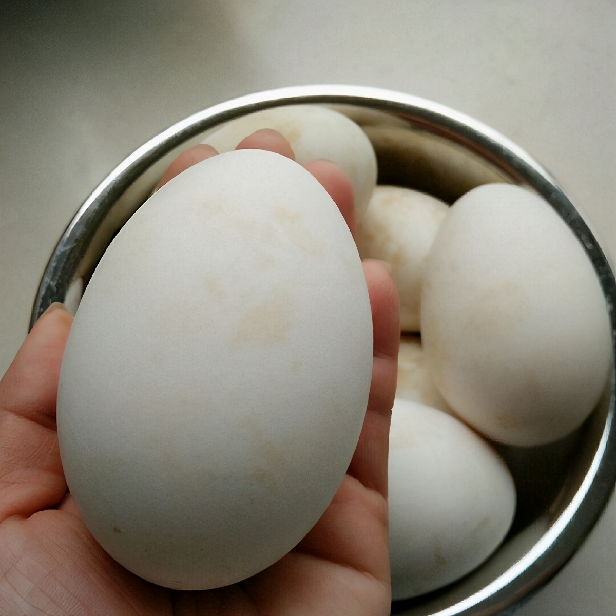 孕期吃鹅蛋有什么好处？