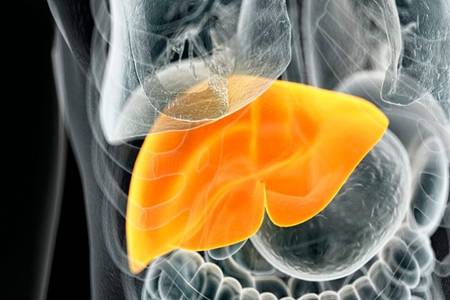 脂肪肝怎么才能减掉？脂肪肝危害与治疗方法