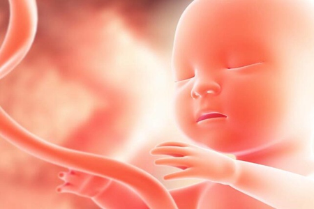 怀孕几个月有胎动？孕期胎动最猛是哪几个月