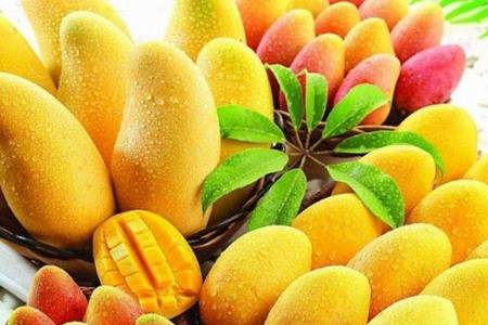 芒果有什么营养价值功效 孕妇能吃新鲜芒果吗
