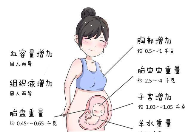 章子怡官宣怀二胎,孕30周体重116斤：孕妈控制体重好处多多
