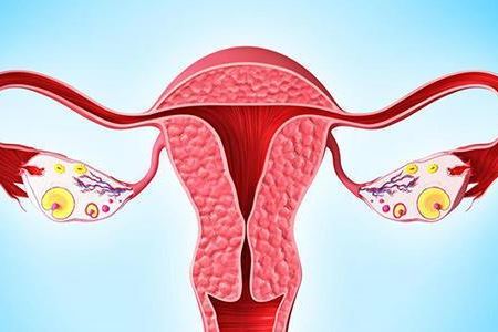 女人保护卵巢的三个小技巧