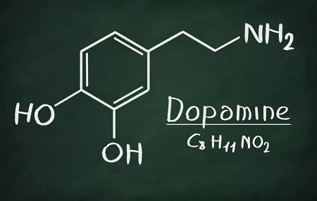 多巴胺是什么意思