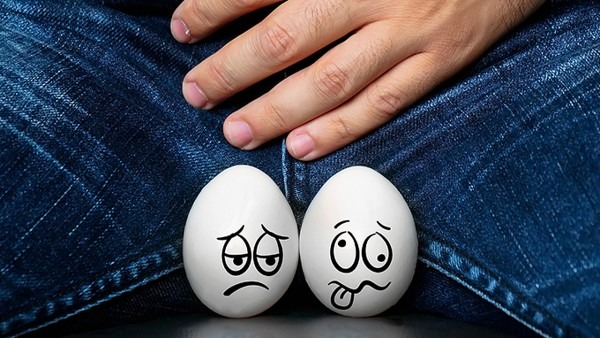 性生活中睾丸有什么用？科学解析男人蛋蛋的真正功能